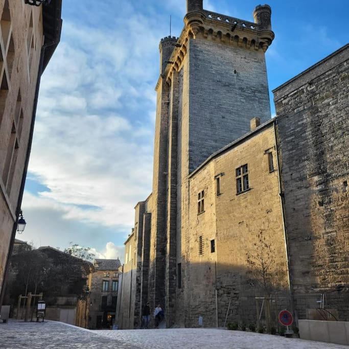 La Tour Medievale Centre Historique * Uzes